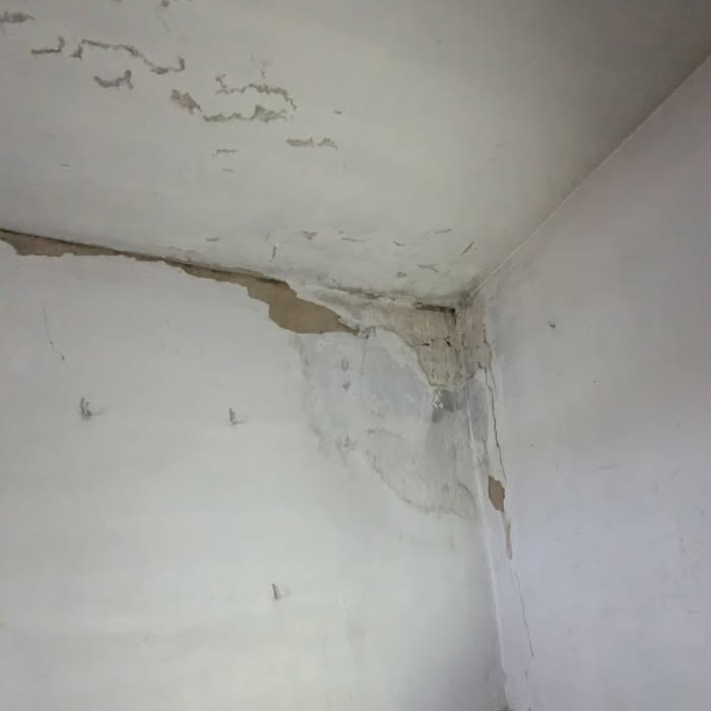 Звернення до редакції через плісняву в ліцеї «Престиж»: як відреагувала влада Первомайська