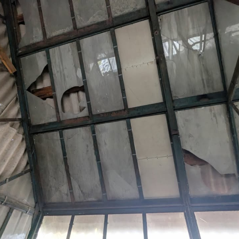 Звернення до редакції через плісняву в ліцеї «Престиж»: як відреагувала влада Первомайська