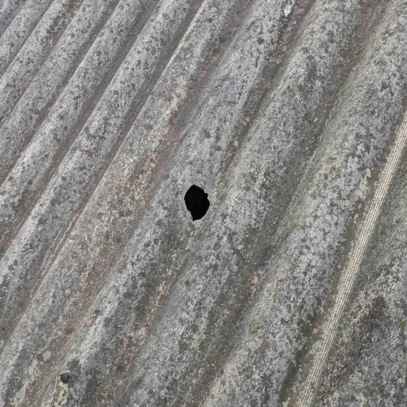 Звернення до редакції через плісняву в ліцеї «Престиж»: як відреагувала влада Первомайська