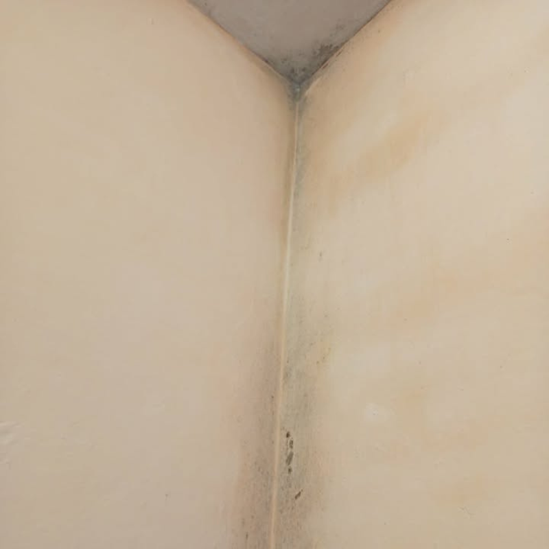 Звернення до редакції через плісняву в ліцеї «Престиж»: як відреагувала влада Первомайська