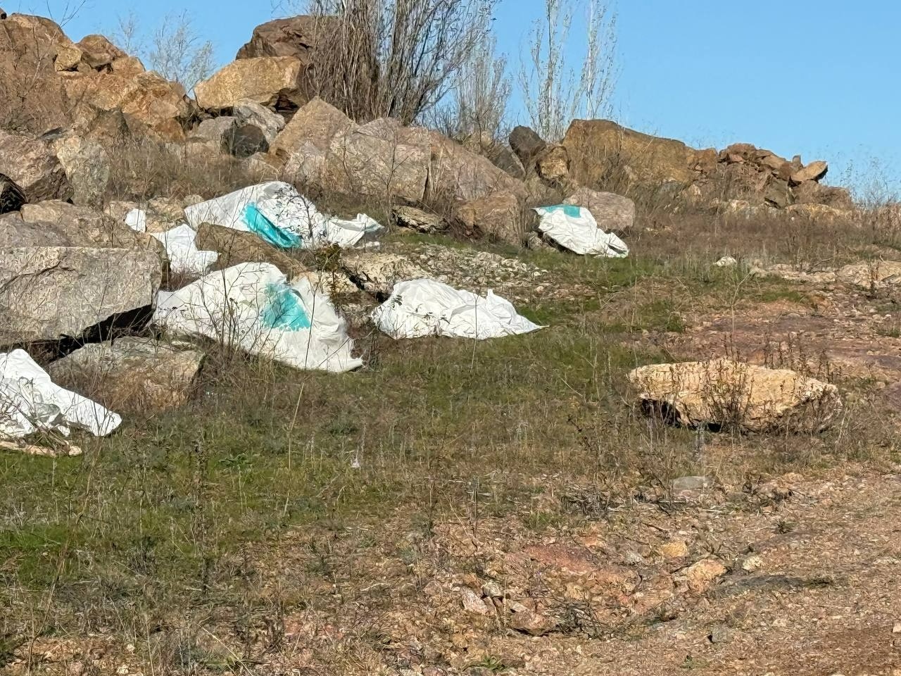 Легальна безкарність: кейс Первомайщини як індикатор вигідного знищення довкілля в Україні