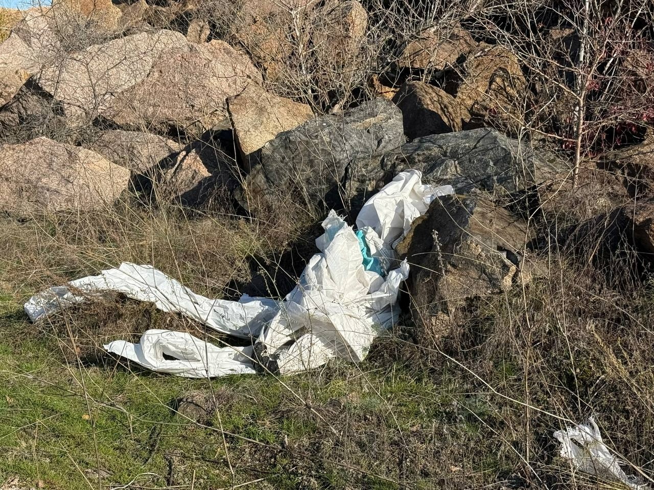 Легальна безкарність: кейс Первомайщини як індикатор вигідного знищення довкілля в Україні