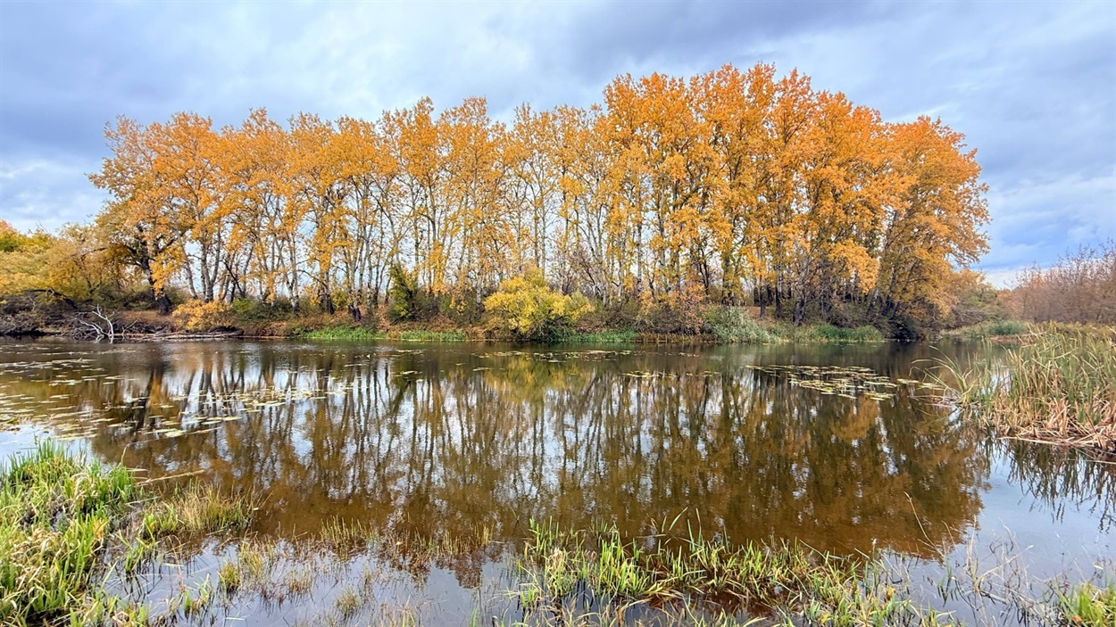 Острів на Південному Бузі