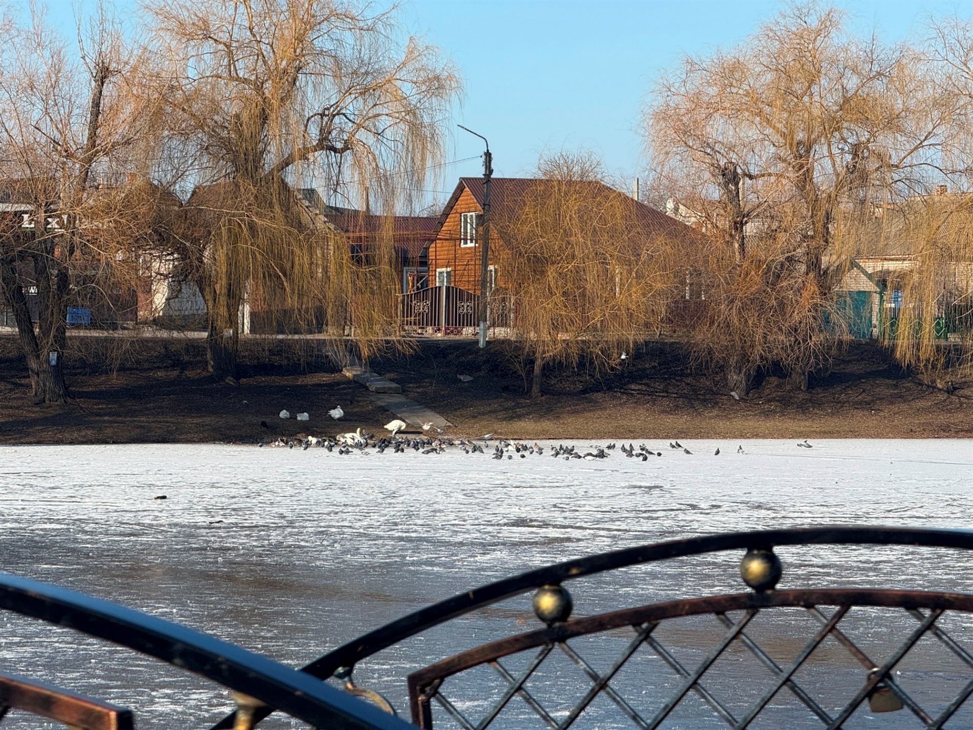 Два зимових озера: фоторепортаж