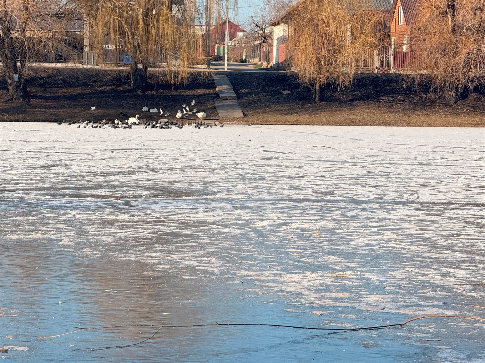 Два зимових озера: фоторепортаж