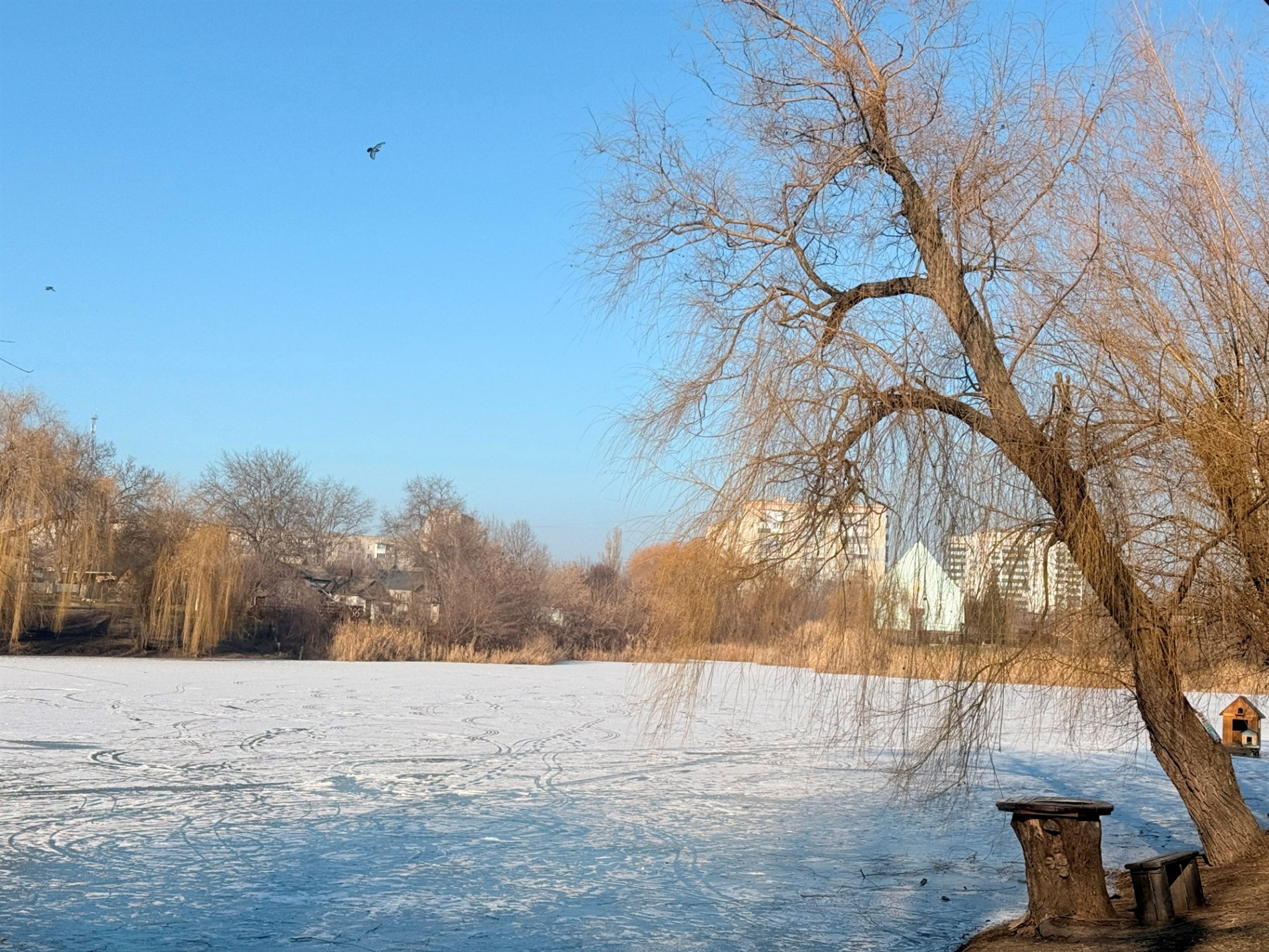 Два зимових озера: фоторепортаж