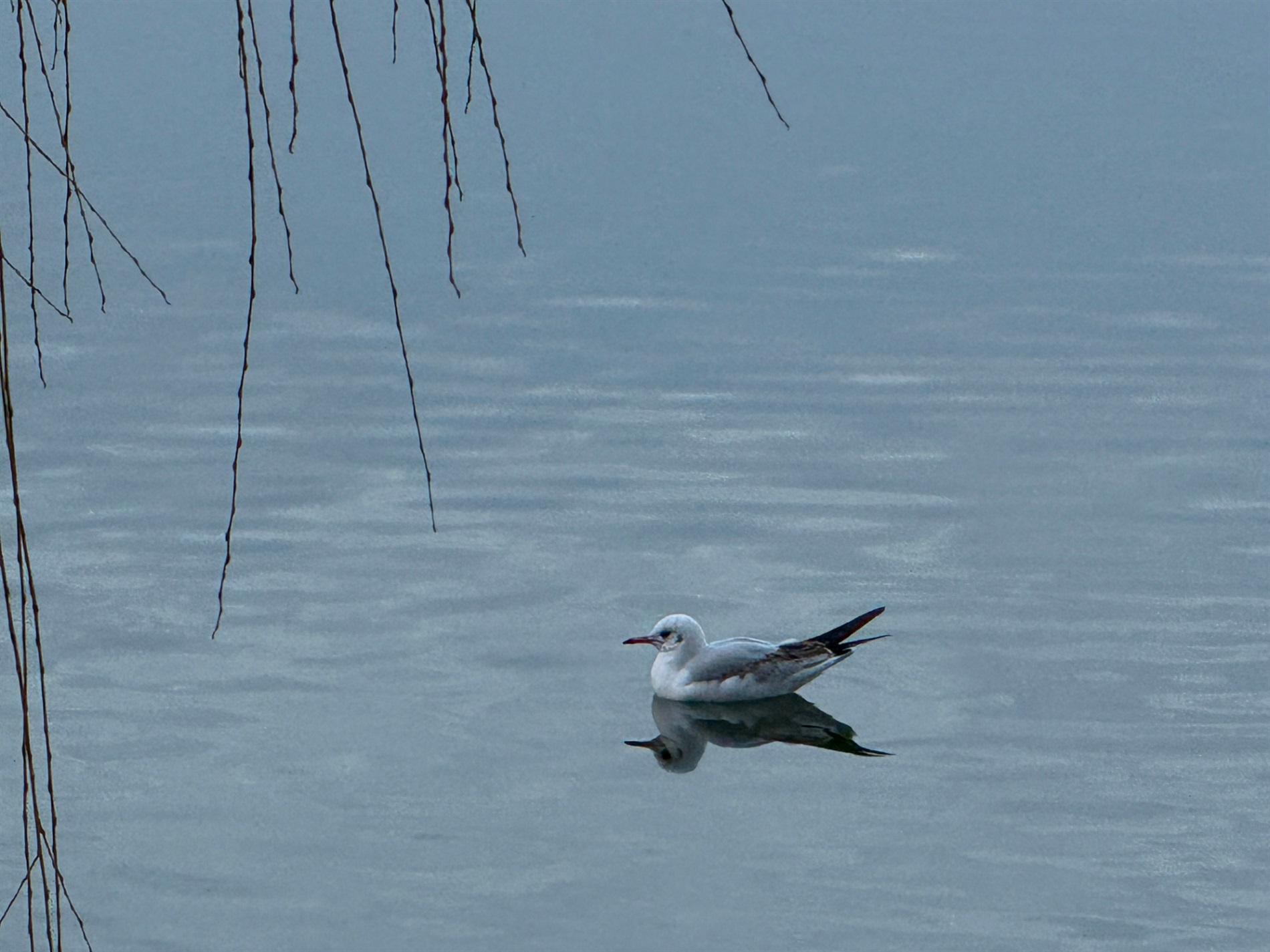 Два зимових озера: фоторепортаж