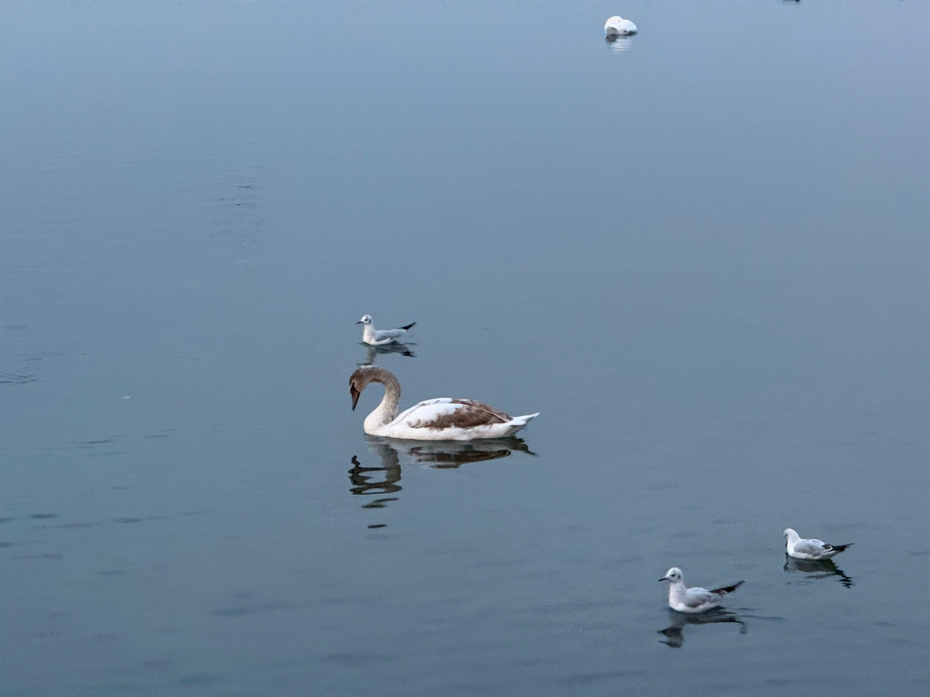 Два зимових озера: фоторепортаж