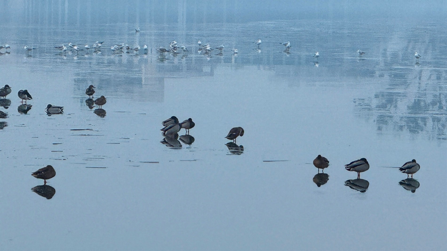 Два зимових озера: фоторепортаж