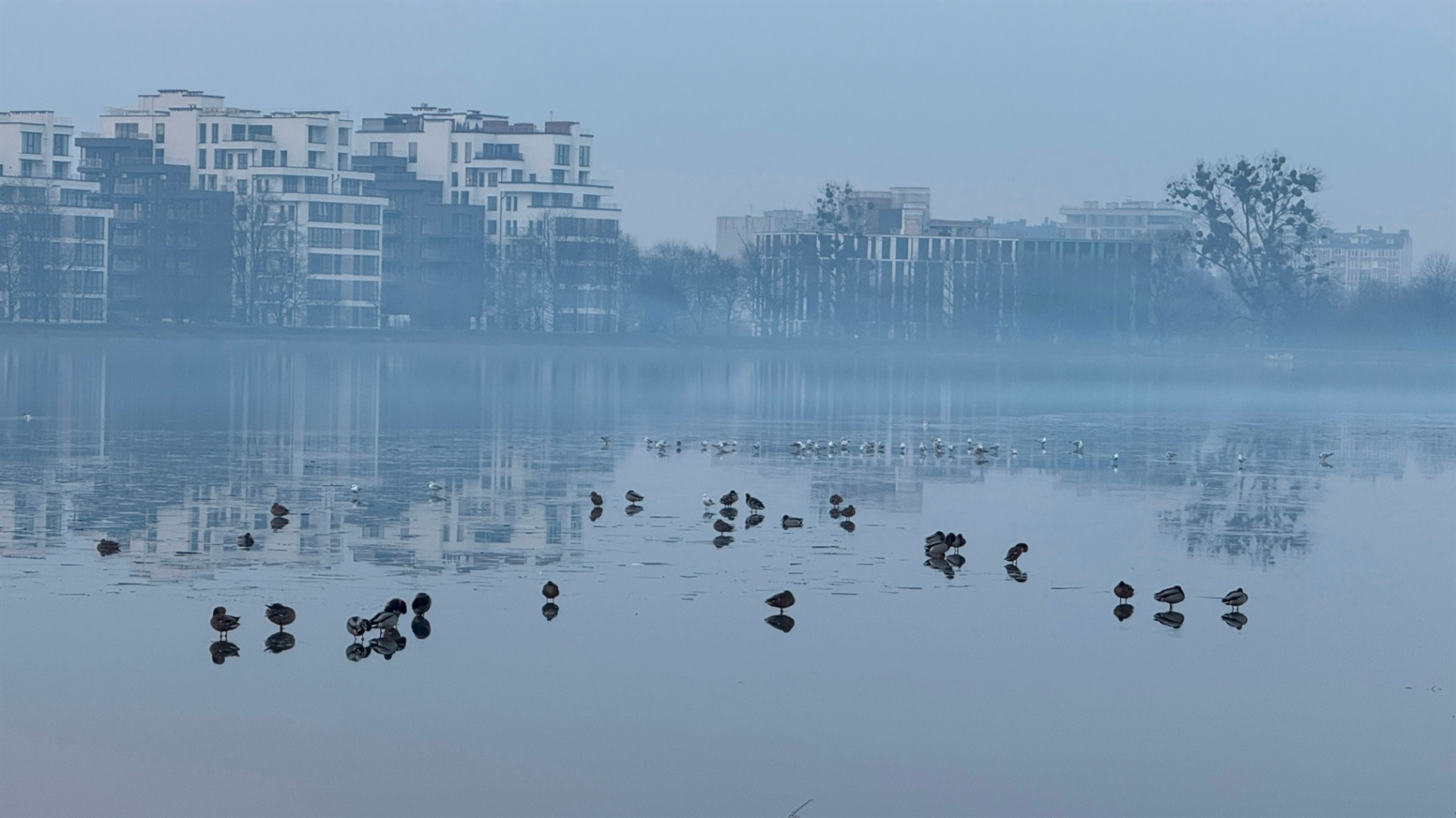 Два зимових озера: фоторепортаж