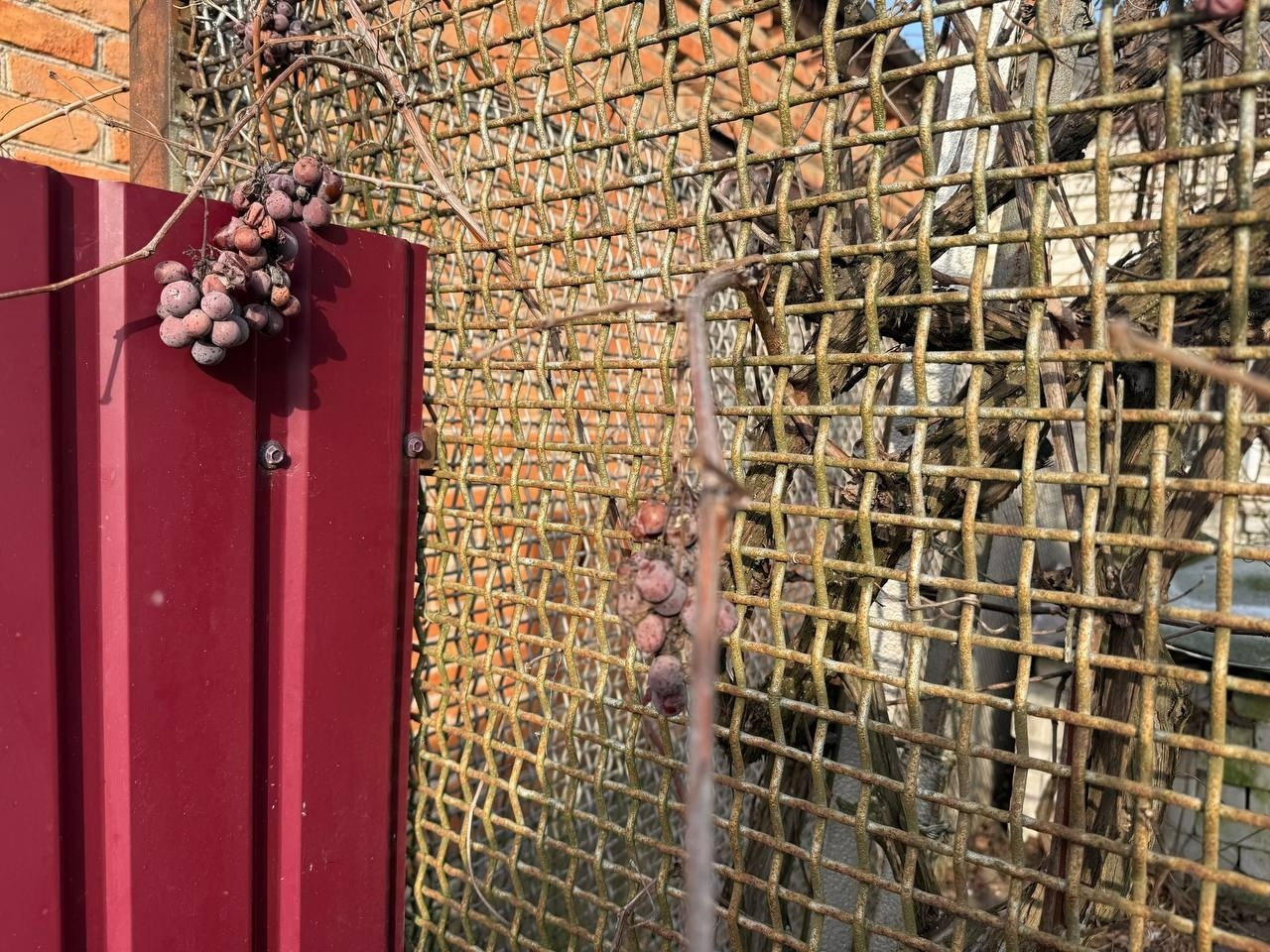 Без опікуна, у житлі без тепла та вбиральні: історія виживання родини Васильченків із Первомайська