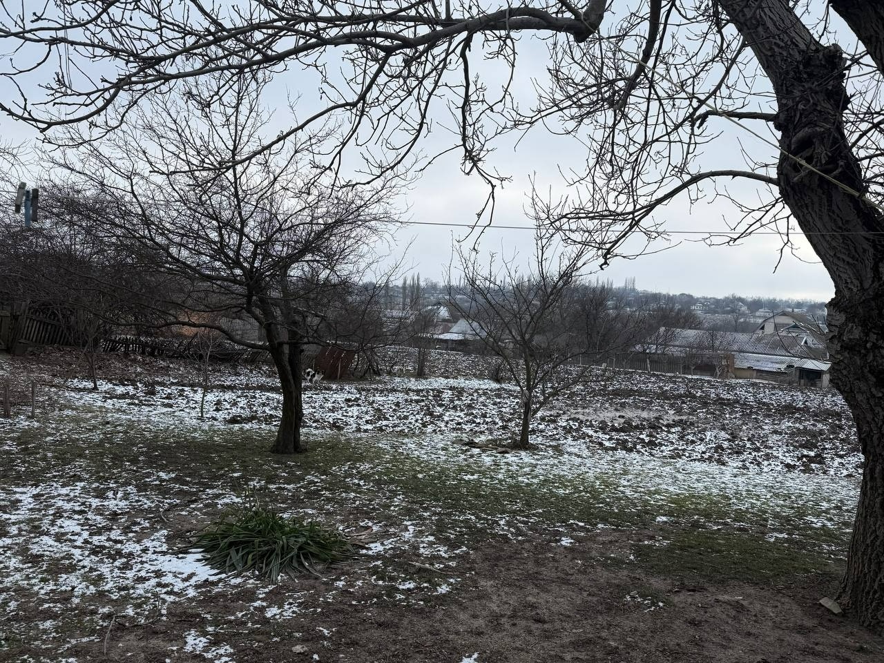 Людина, яка повертає імена з небуття: дослідник родоводів про архіви, пам'ять і зв'язок поколінь