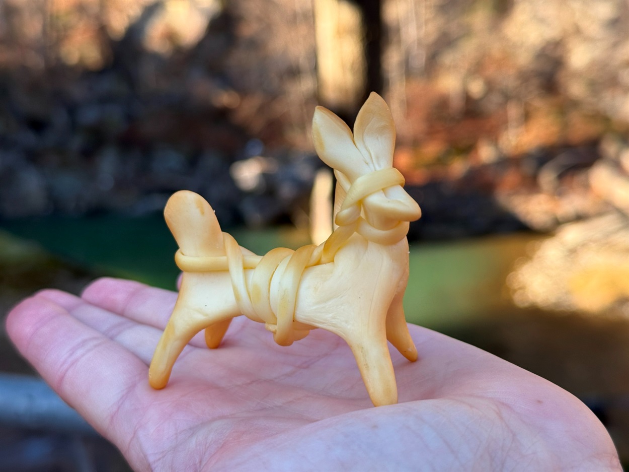 Коник, символ року