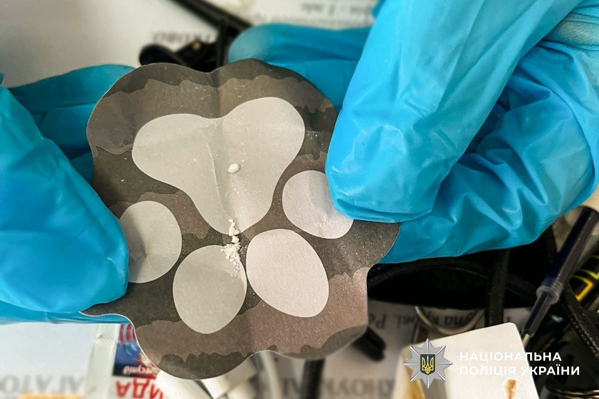 У Південноукраїнську поліцейські затримали наркозбувачку: жінці загрожує до 10 років в'язниці