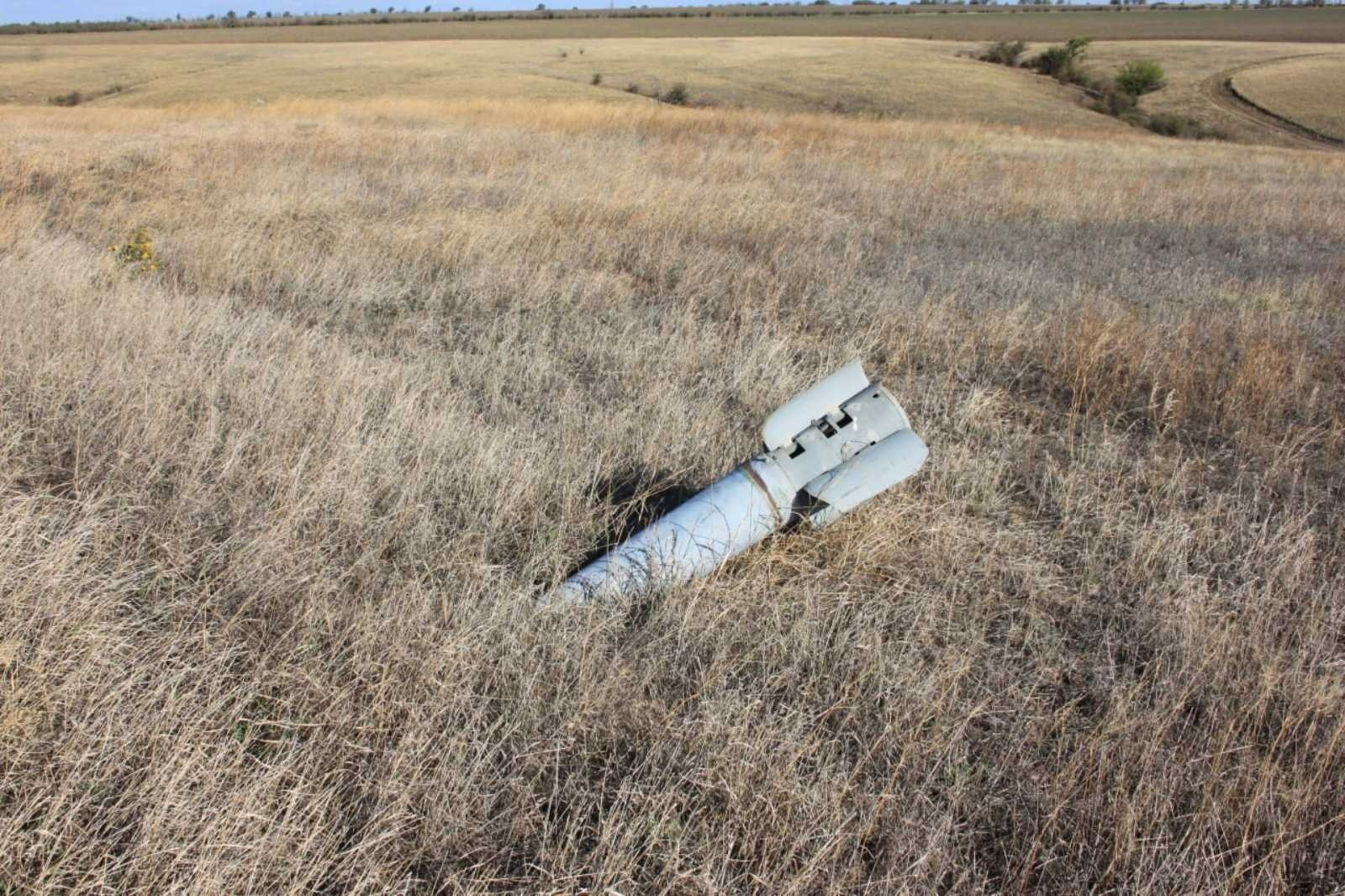 «Тварини не знають, що тут була війна»: фахівці «Бузького Гарду» дослідили екосистеми Миколаївщини