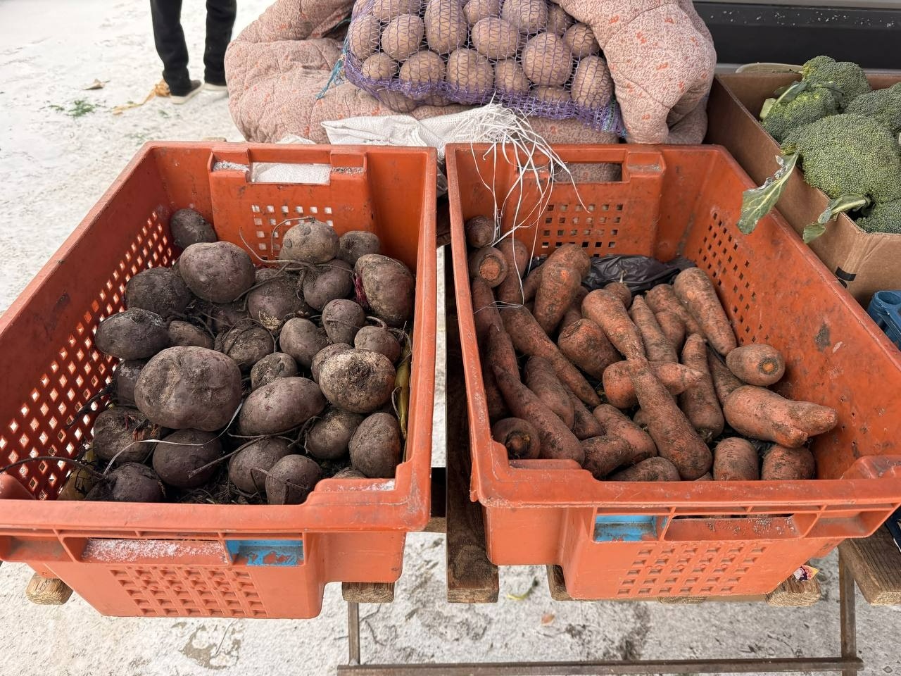 Засніжений ринок 25 січня 2026: які ціни на продукти у Первомайську