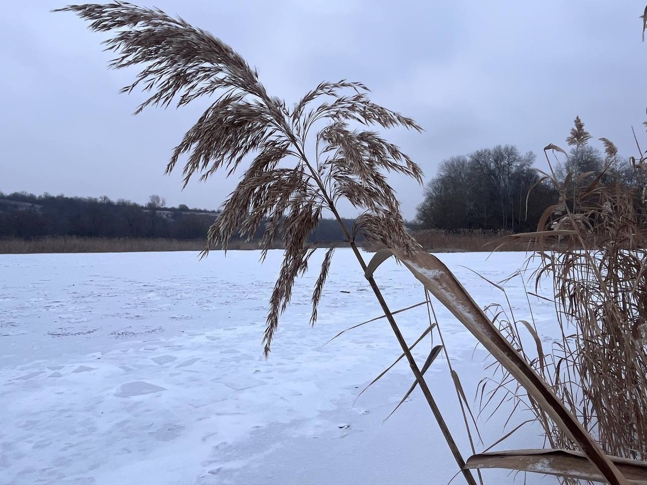 Місто трішки притрусило снігом. Недільний фотоальбом з Первомайська
