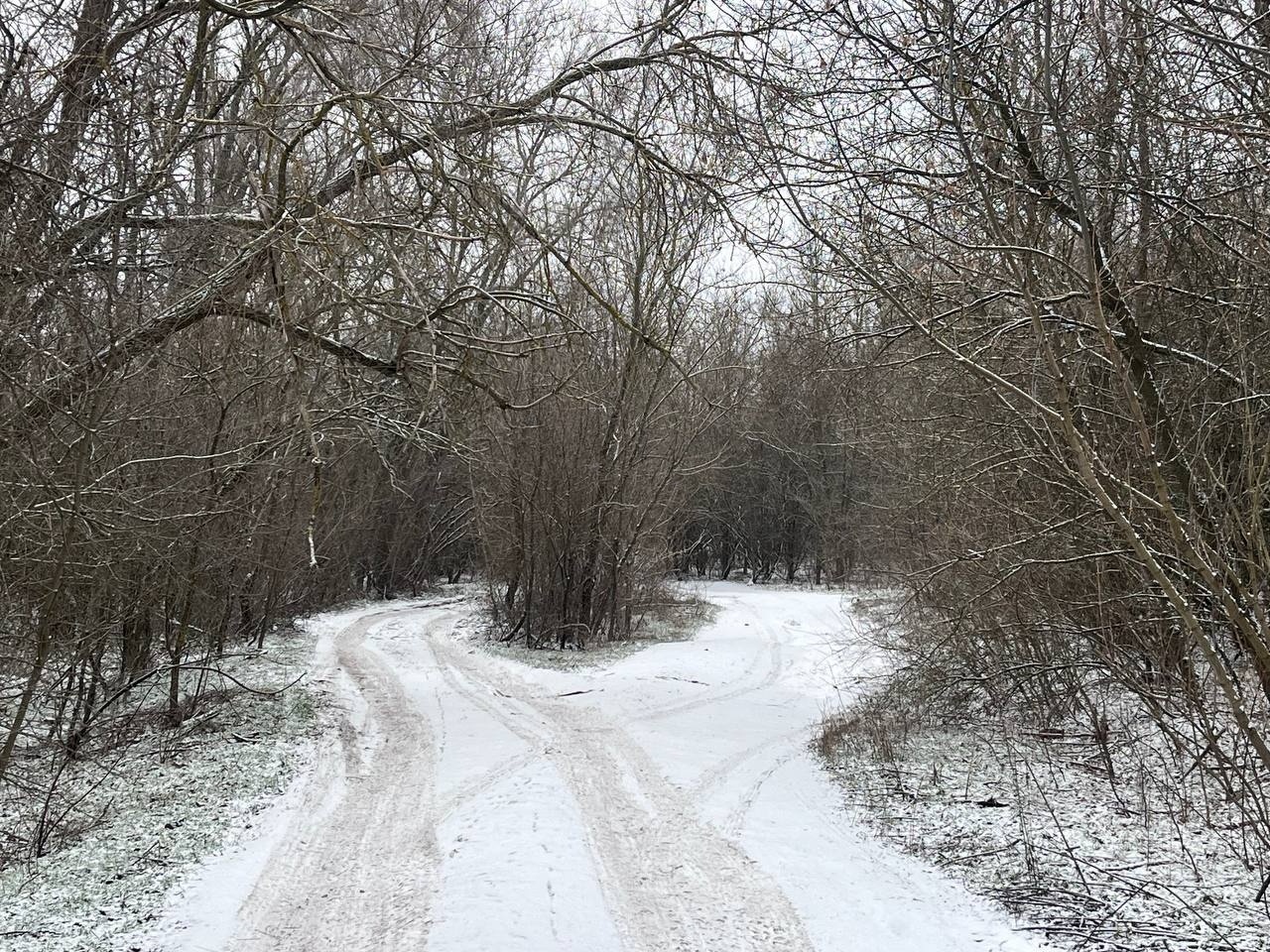 Місто трішки притрусило снігом. Недільний фотоальбом з Первомайська