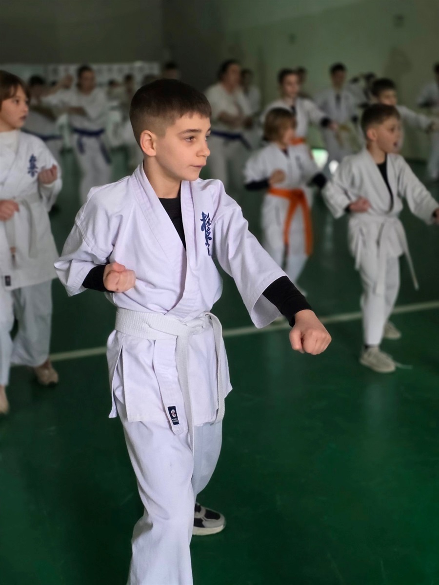 Три дні, кількадесят каратистів з усієї країни: у Первомайську пройшли навчально-тренувальні збори