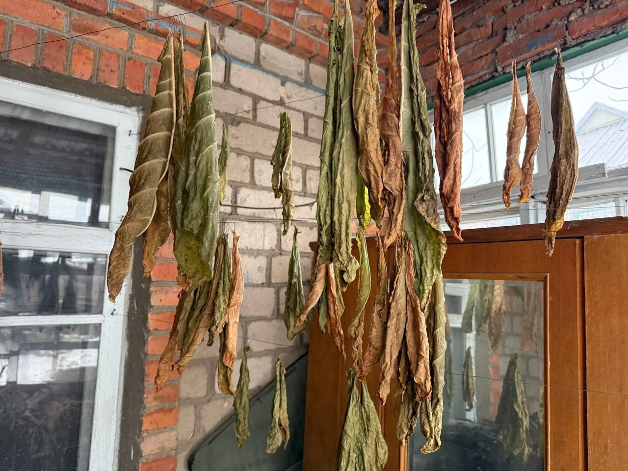 Зима взаємної підтримки: як громада Первомайська не залишає людей сам на сам із проблемами