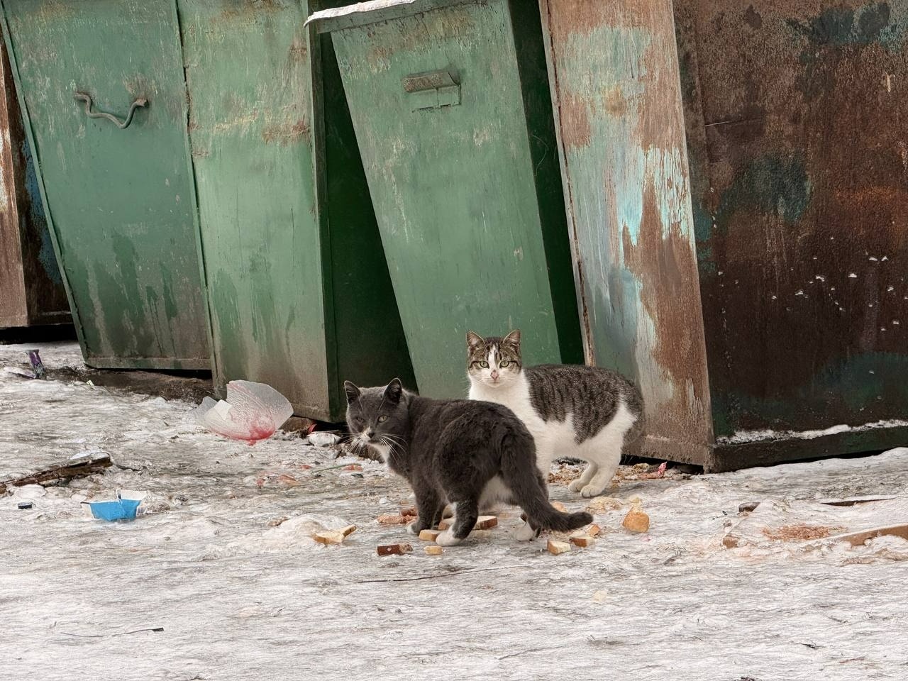 Життя на відстані від міста: плюси і виклики мікрорайону Цукровий у Первомайську