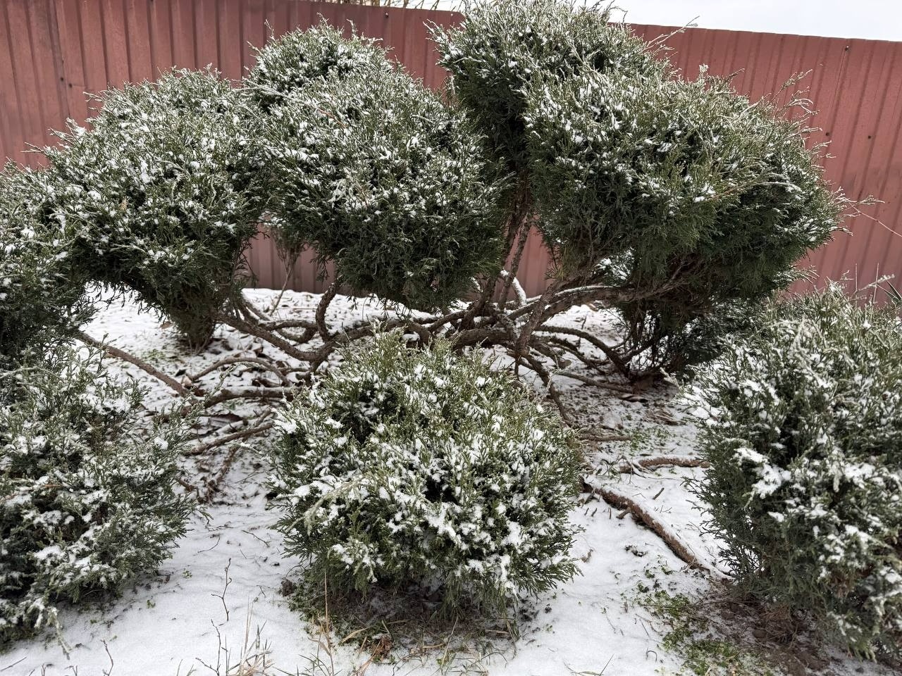 Життя на відстані від міста: плюси і виклики мікрорайону Цукровий у Первомайську