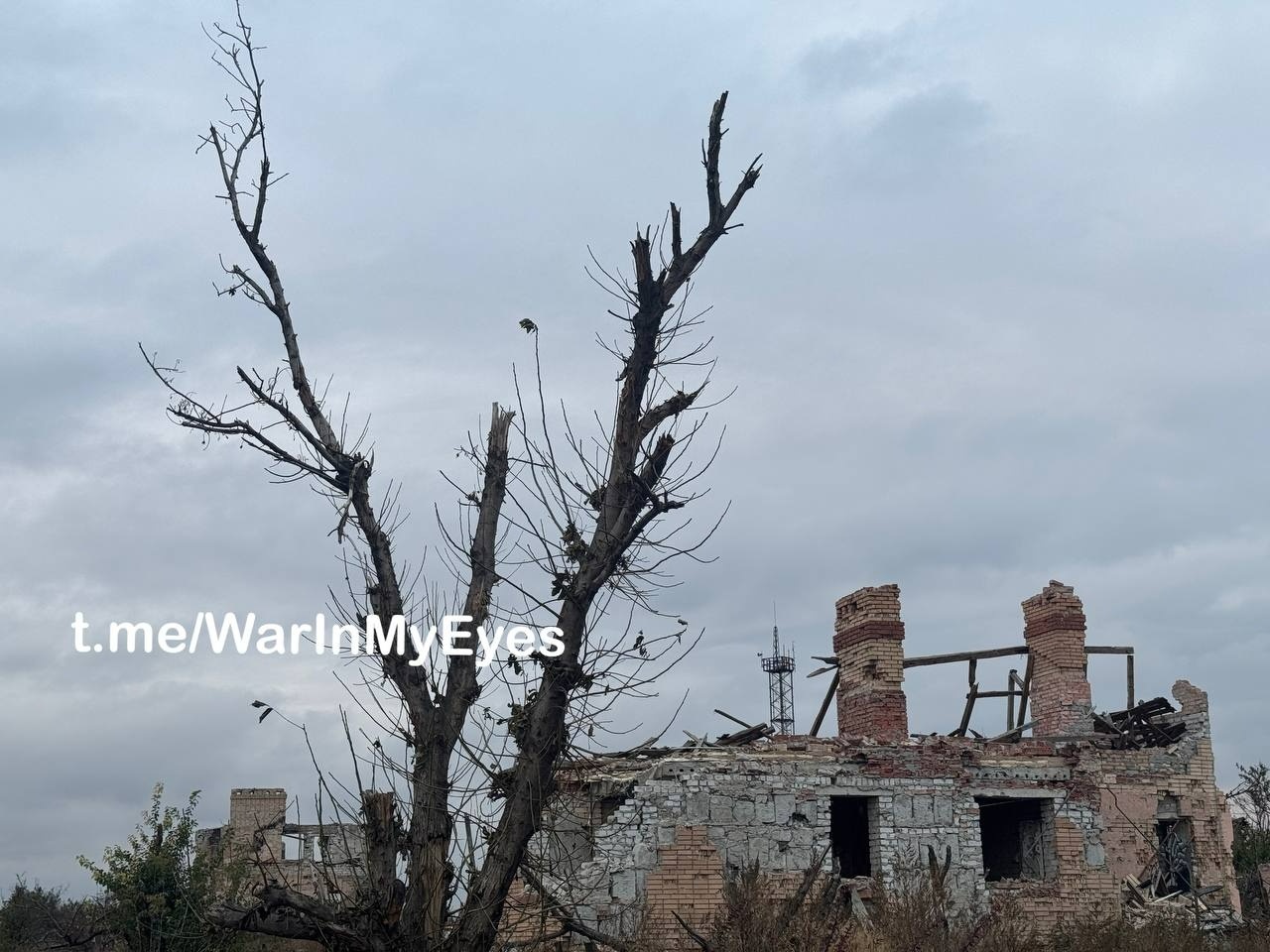 «Ми виїхали з однією сумкою»: подружжя з Донеччини шукає дім на Первомайщині та потребує допомоги