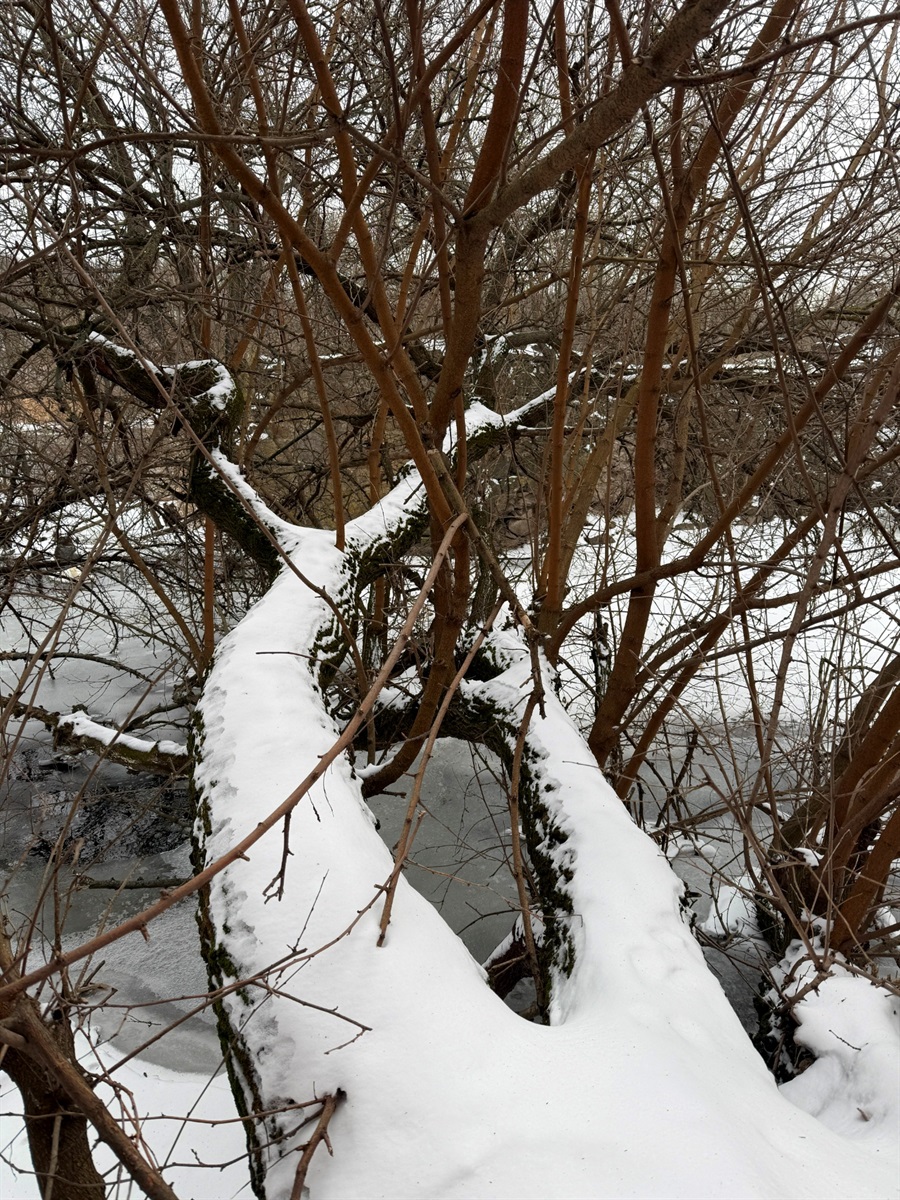 Шляхом до млина