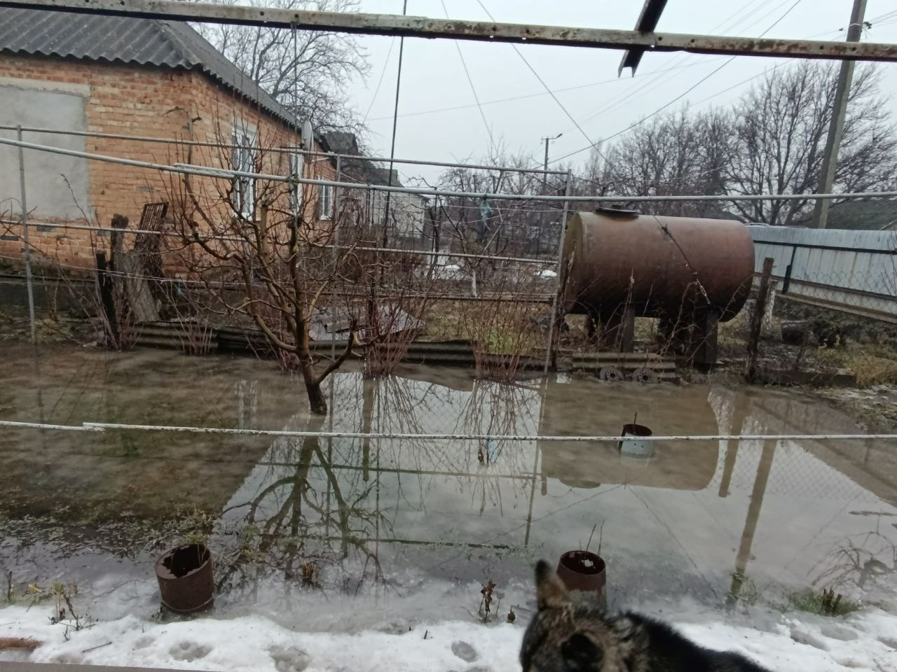 Вулицю Молодіжну в Кумарях підтопило: вода вже в підвалах будинків