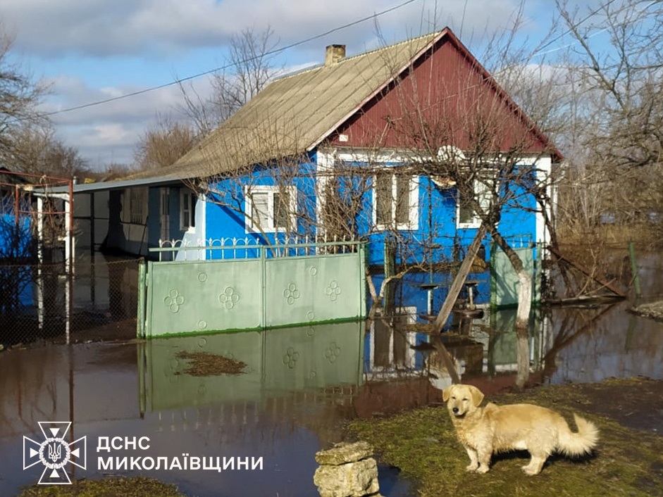 На Миколаївщині через танення снігу та дощі підтопило низку сіл: ДСНС відкачали сотні кубів води