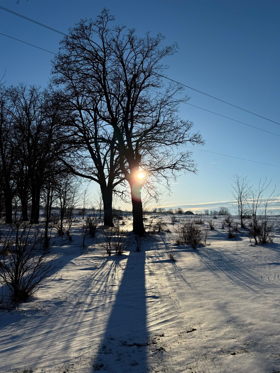 Вечір у Грушівці