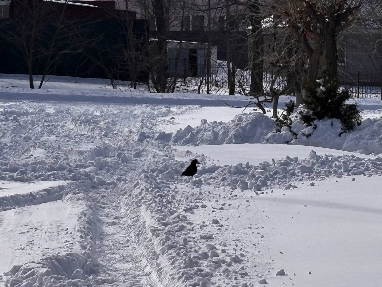 Проводжаємо зиму, завершення якої так чекали. Зимовий фоторепортаж з Первомайська