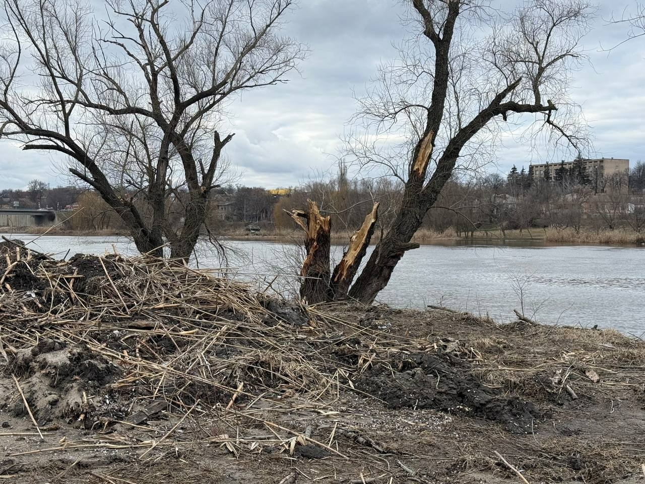 Що відбувається біля центрального пляжу у Первомайську: відповідь мерії