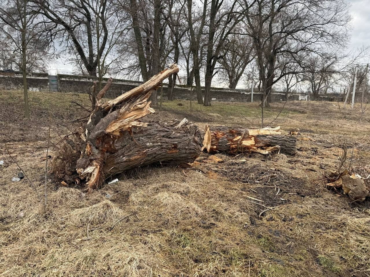 Що відбувається біля центрального пляжу у Первомайську: відповідь мерії