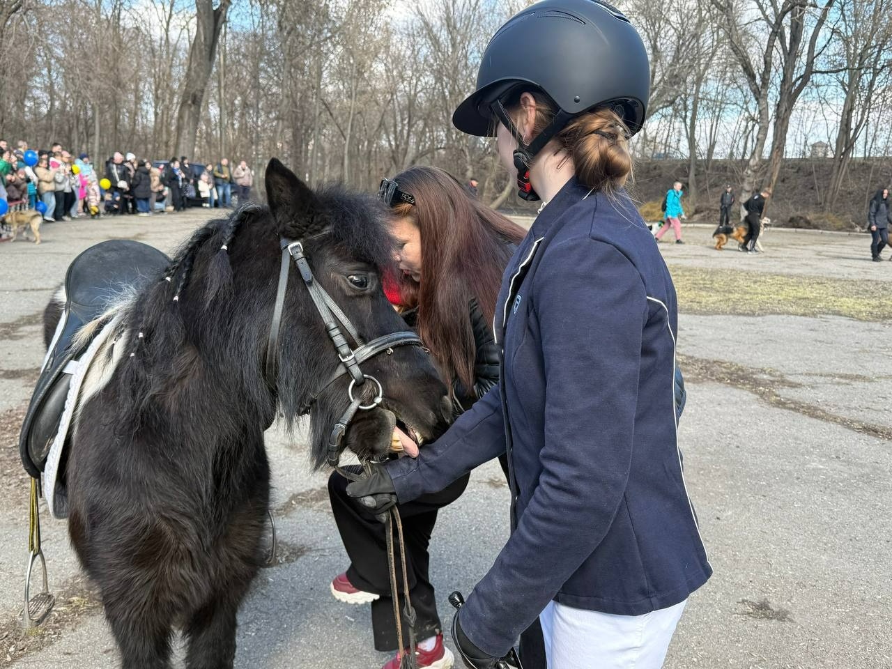Ярмарок, поні та службові собаки: у Первомайську провели благодійне свято на підтримку військових