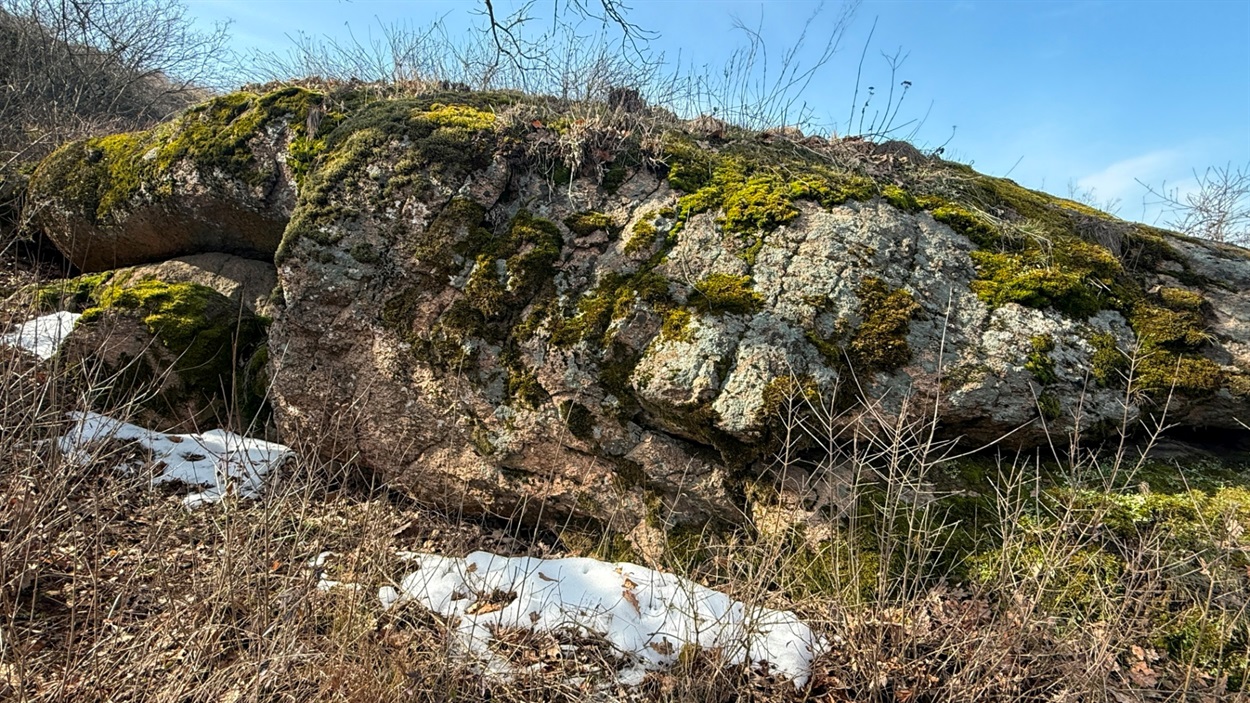 Біля Протичанської скелі у березні