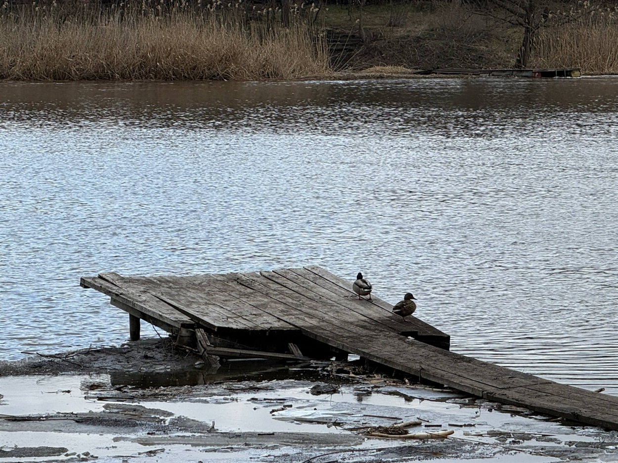 Кажуть, буде казка: перший зам міського голови Первомайська прокоментував роботи на пляжі