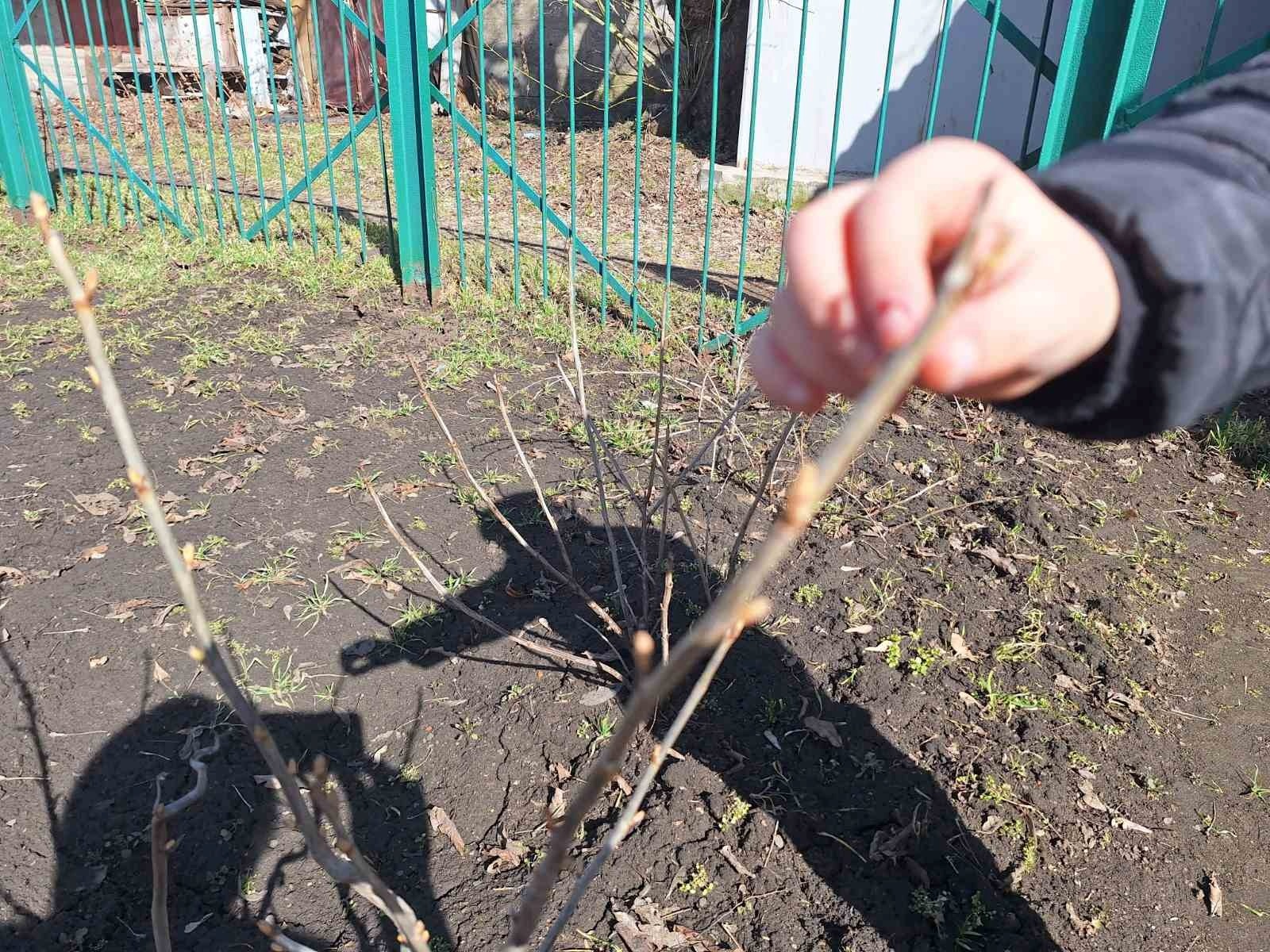 У «Ластівці» зустріли весну: як первомайська малеча відкривала таємниці природи