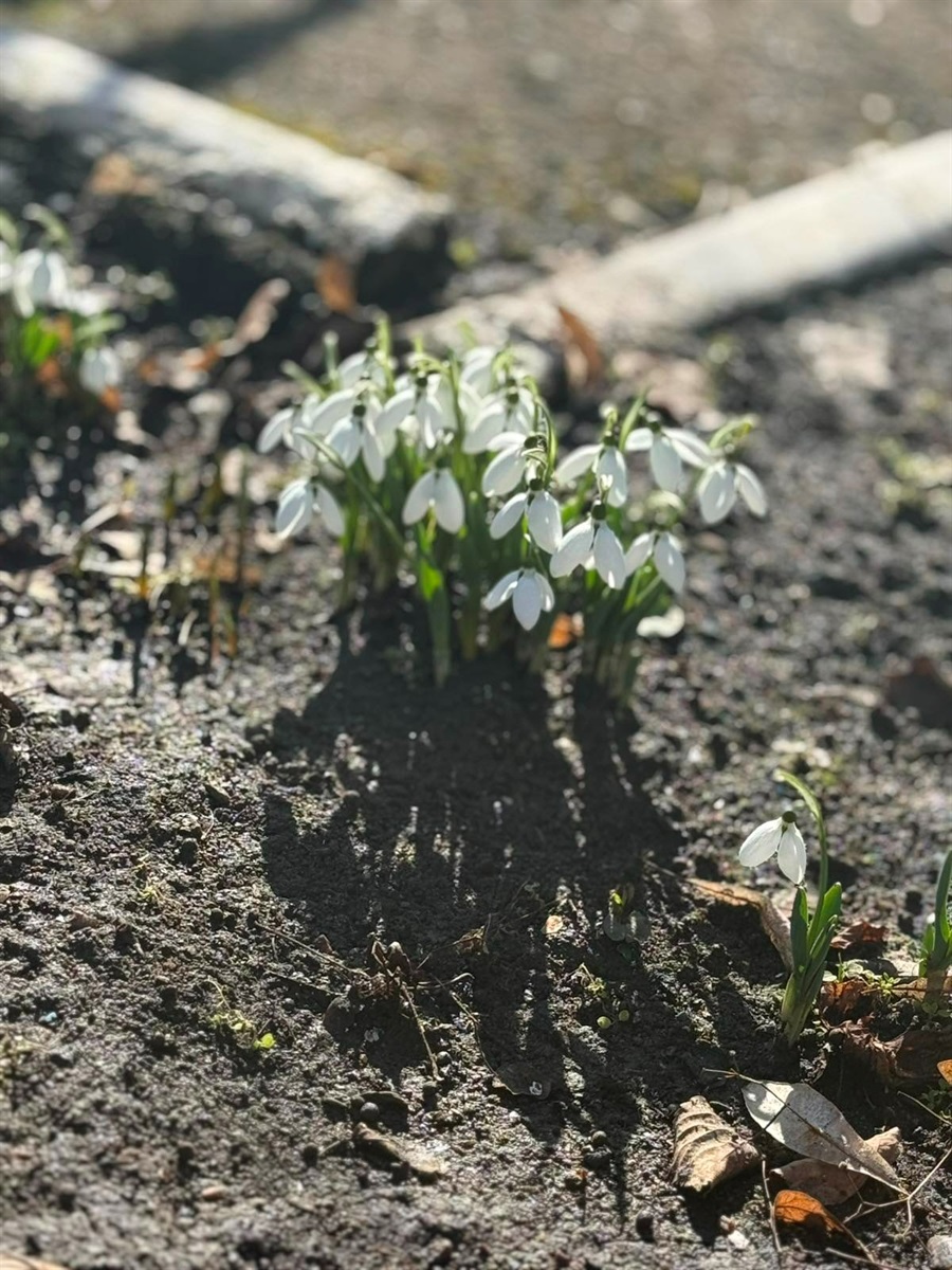 У «Ластівці» зустріли весну: як первомайська малеча відкривала таємниці природи