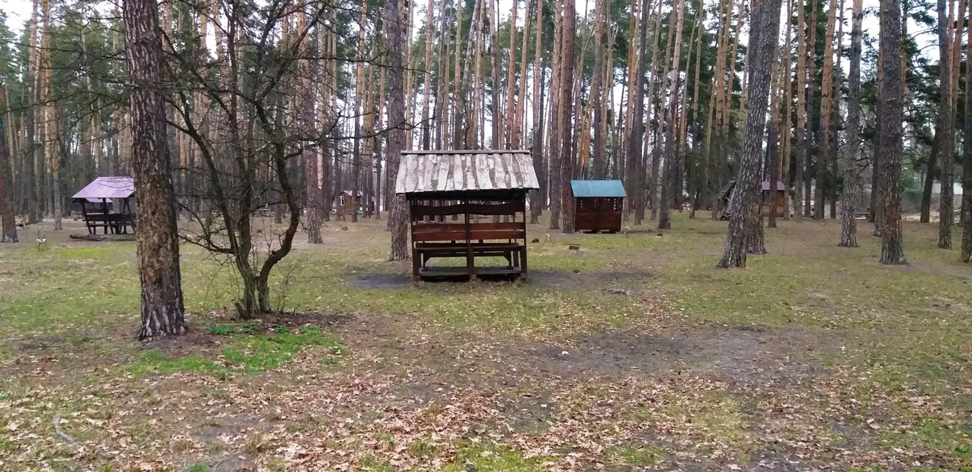 До Міжнародного дня лісу: фотоальбом