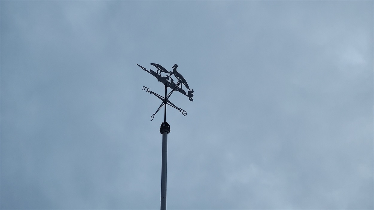 Флюгер у гімназії