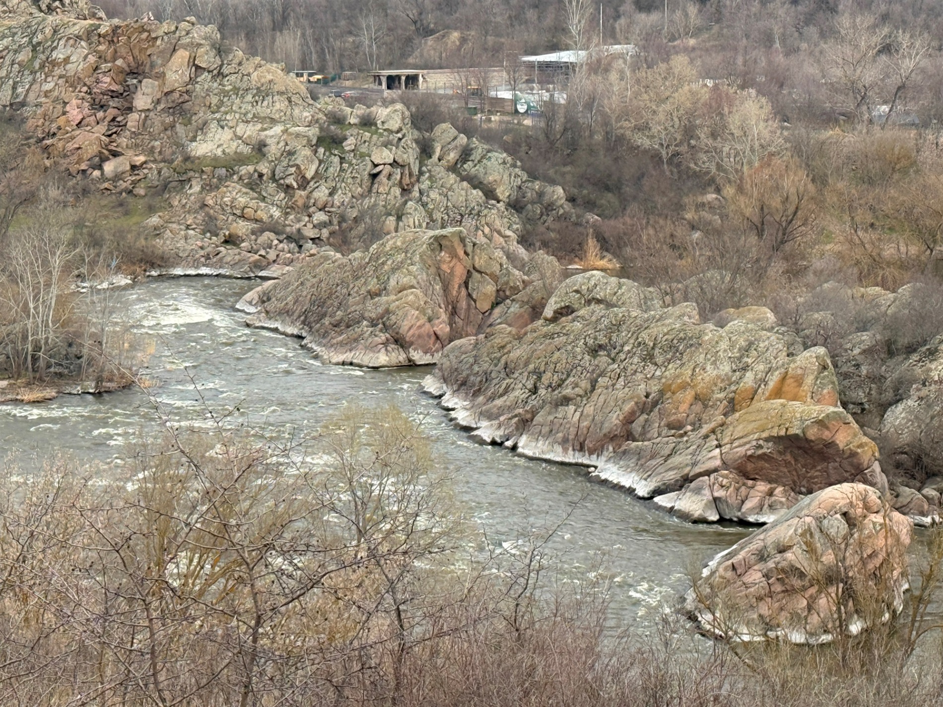 Перший сон і поля шафранів: весняні квіти Бузького Гарду. Фотоальбом
