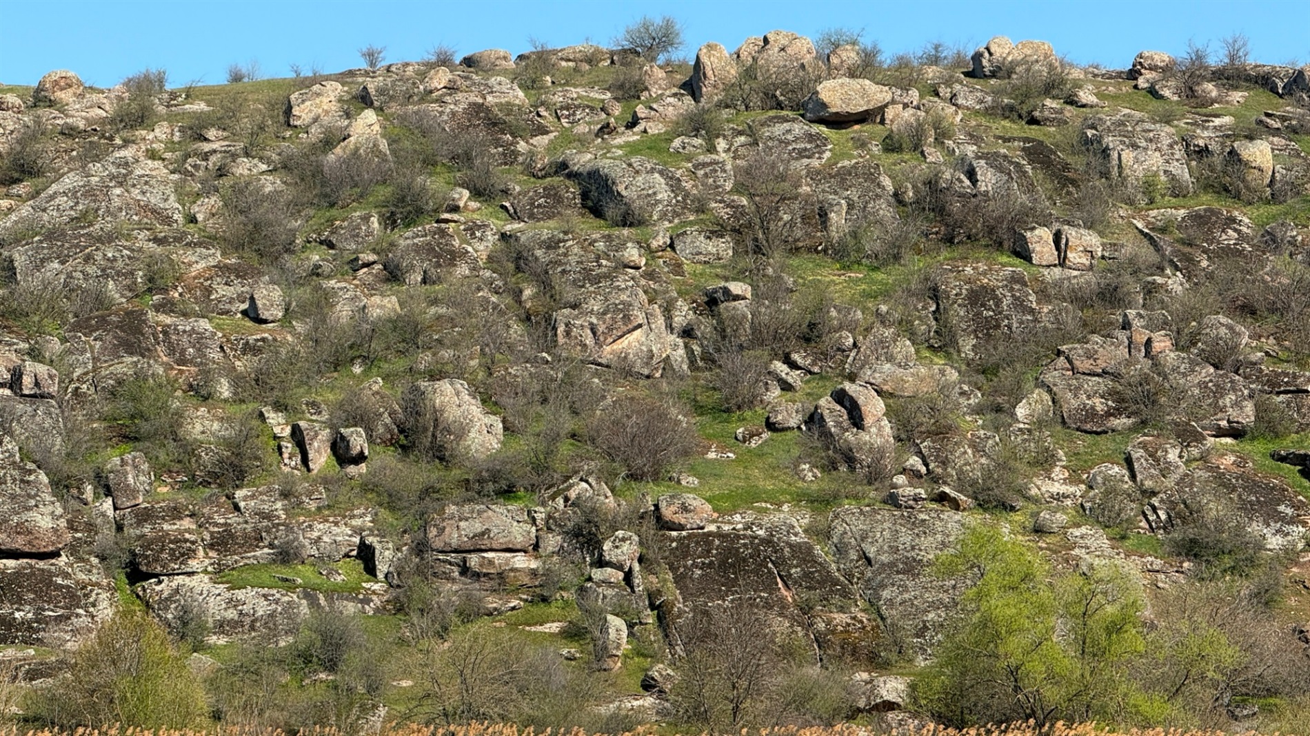 Мальовничі мури старого млина: фотоальбом і відеоекскурс цікавинками Первомайщини