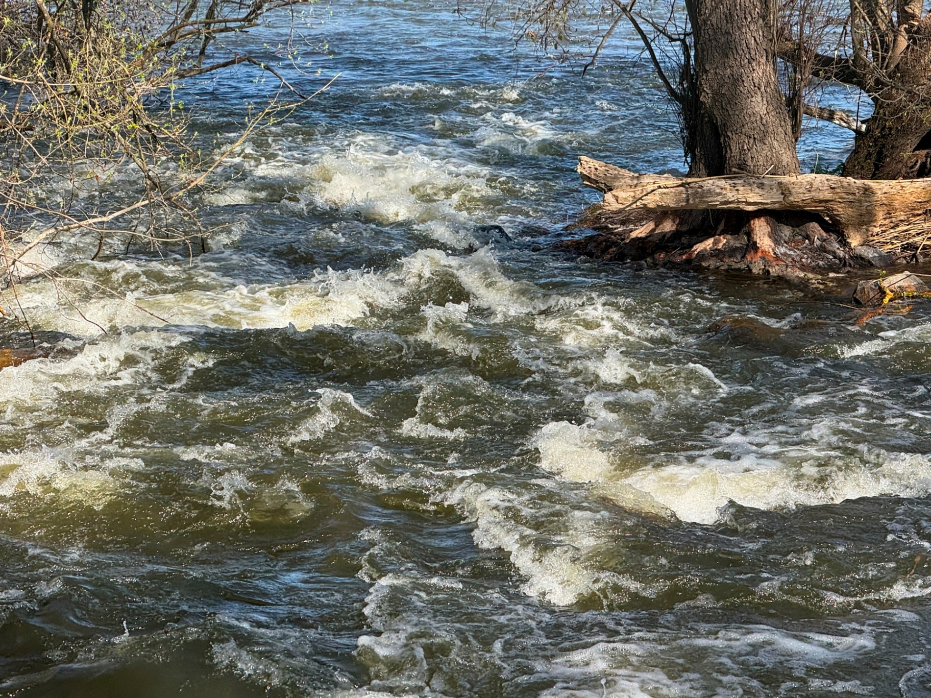 Мальовничі мури старого млина: фотоальбом і відеоекскурс цікавинками Первомайщини