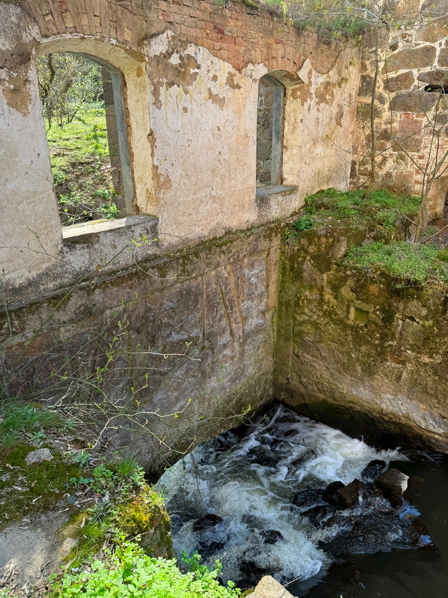Мальовничі мури старого млина: фотоальбом і відеоекскурс цікавинками Первомайщини
