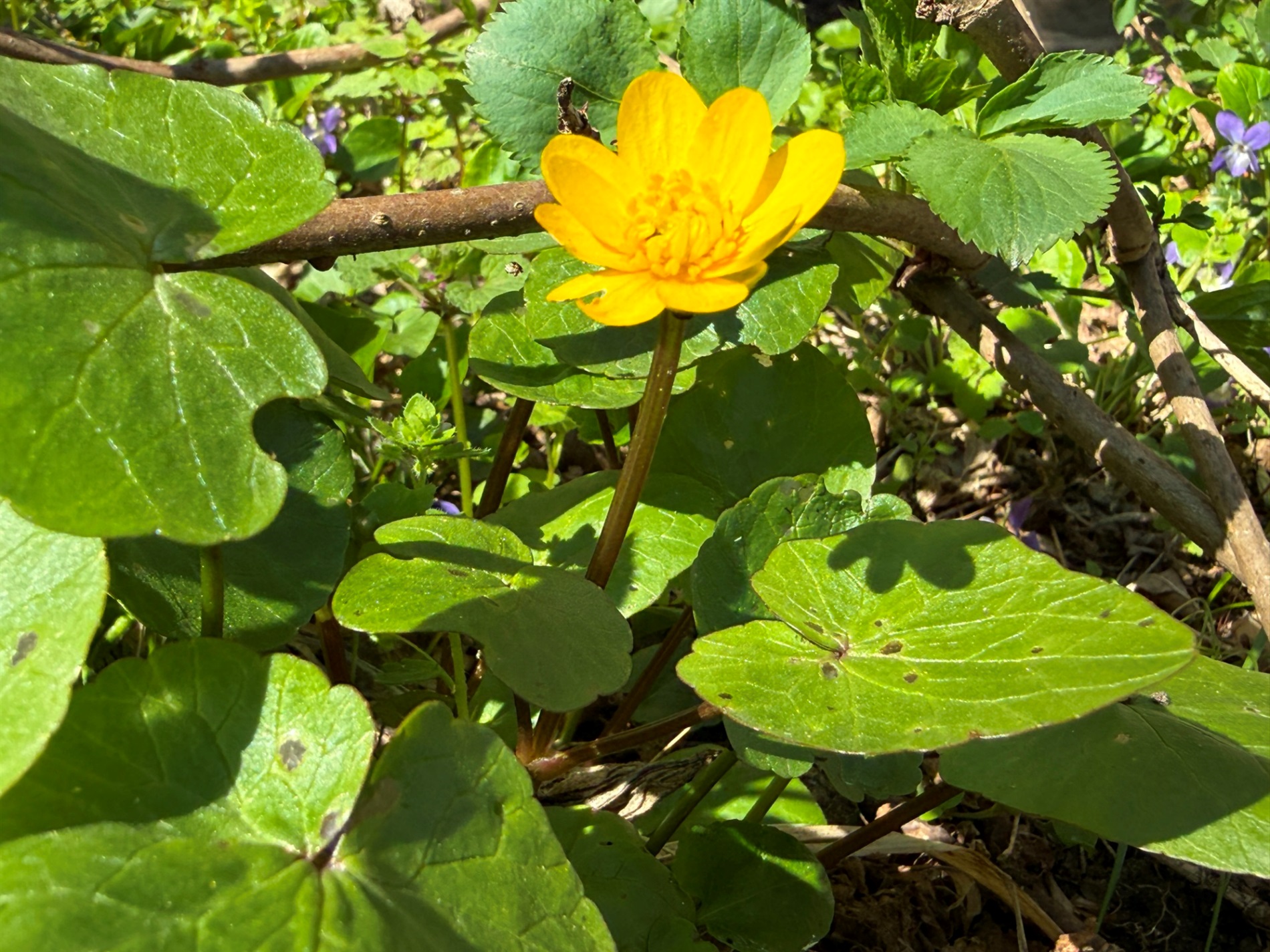 Мальовничі мури старого млина: фотоальбом і відеоекскурс цікавинками Первомайщини