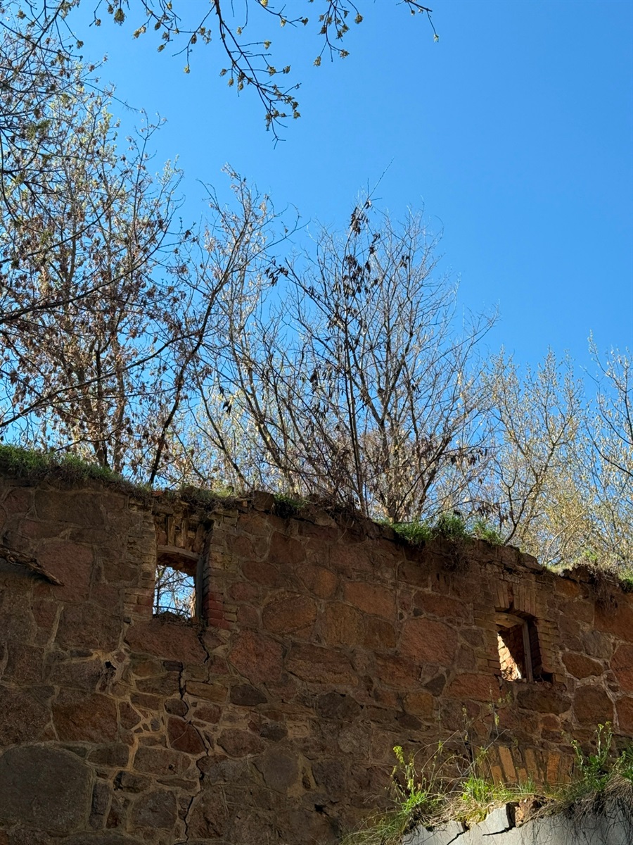 Мальовничі мури старого млина: фотоальбом і відеоекскурс цікавинками Первомайщини