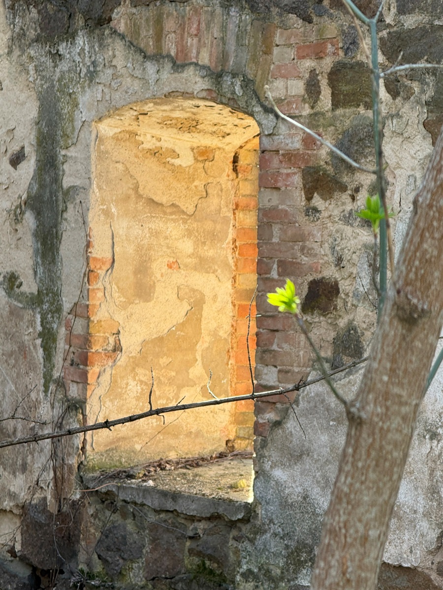 Мальовничі мури старого млина: фотоальбом і відеоекскурс цікавинками Первомайщини