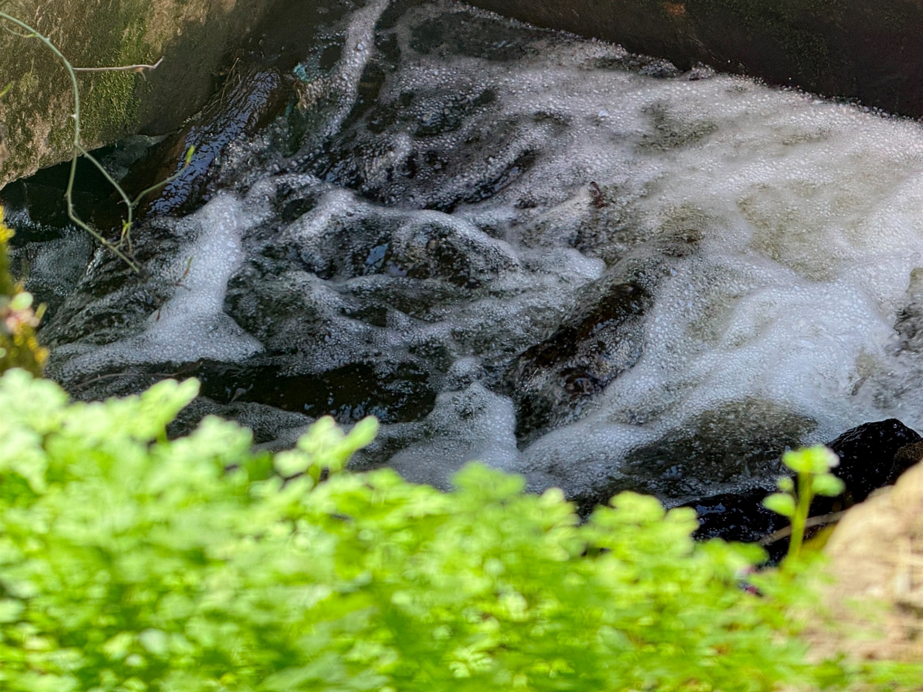 Мальовничі мури старого млина: фотоальбом і відеоекскурс цікавинками Первомайщини
