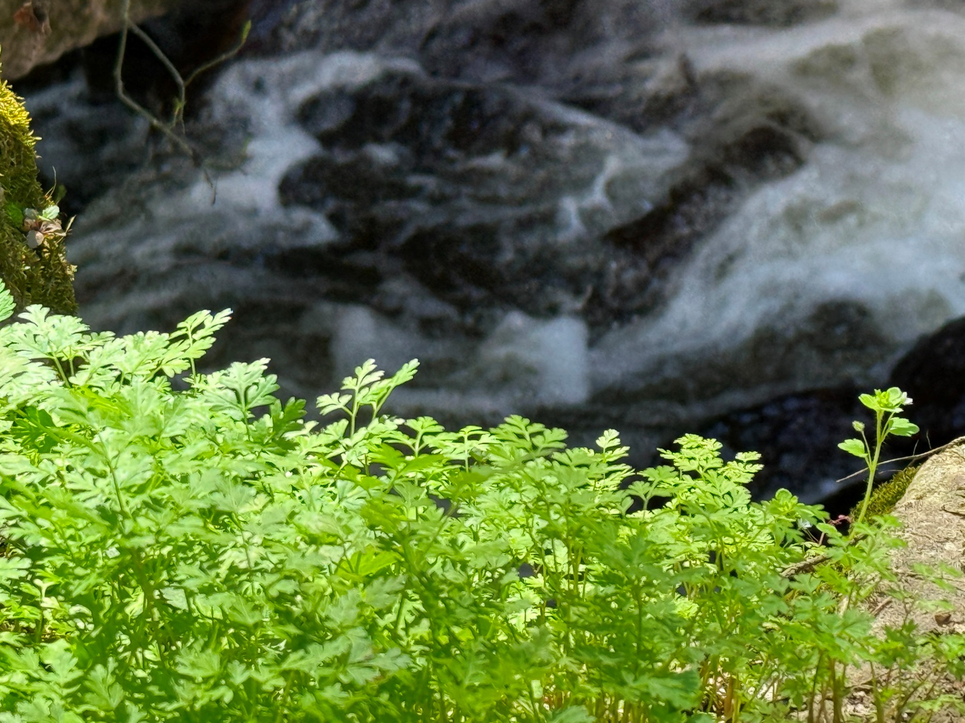 Мальовничі мури старого млина: фотоальбом і відеоекскурс цікавинками Первомайщини